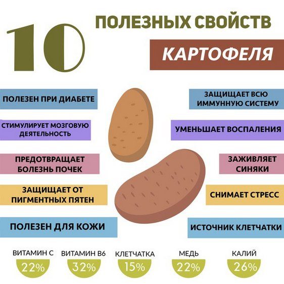 Полезные свойства картофеля для организма человека Полезные свойства картофеля