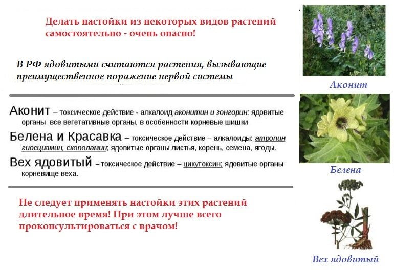 Полезная памятка о настойках из ядовитых растений Памятка о настойках из ядовитых растений