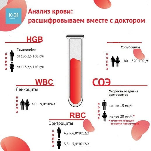 Расшифровка анализа крови Анализ крови