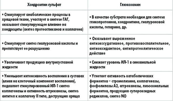 Основные компоненты хондропротекторов и их воздействие на организм человека Основные компоненты хондропротекторов