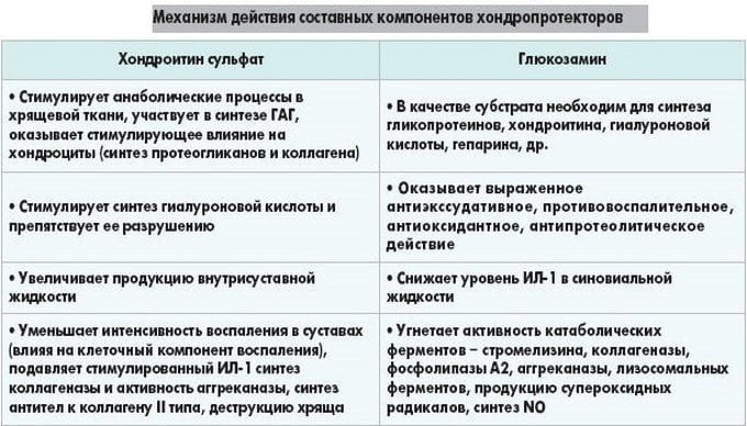 Механизм воздействия составных компонентов хондропроекторов на организм Действие компонентов хондропроекторов