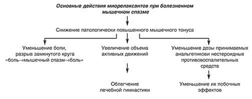 Действия миорелаксантов при болезненном мышечном спазме Миорелаксанты при остеохондрозе