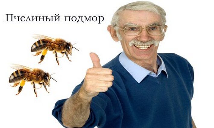 Полезность пчелиного подмора Пчелиный подмор