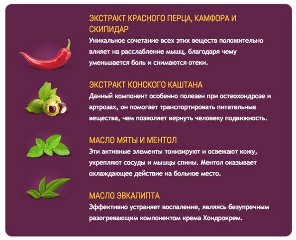 Состав Hondrokrem'а Состав Хондрокрема